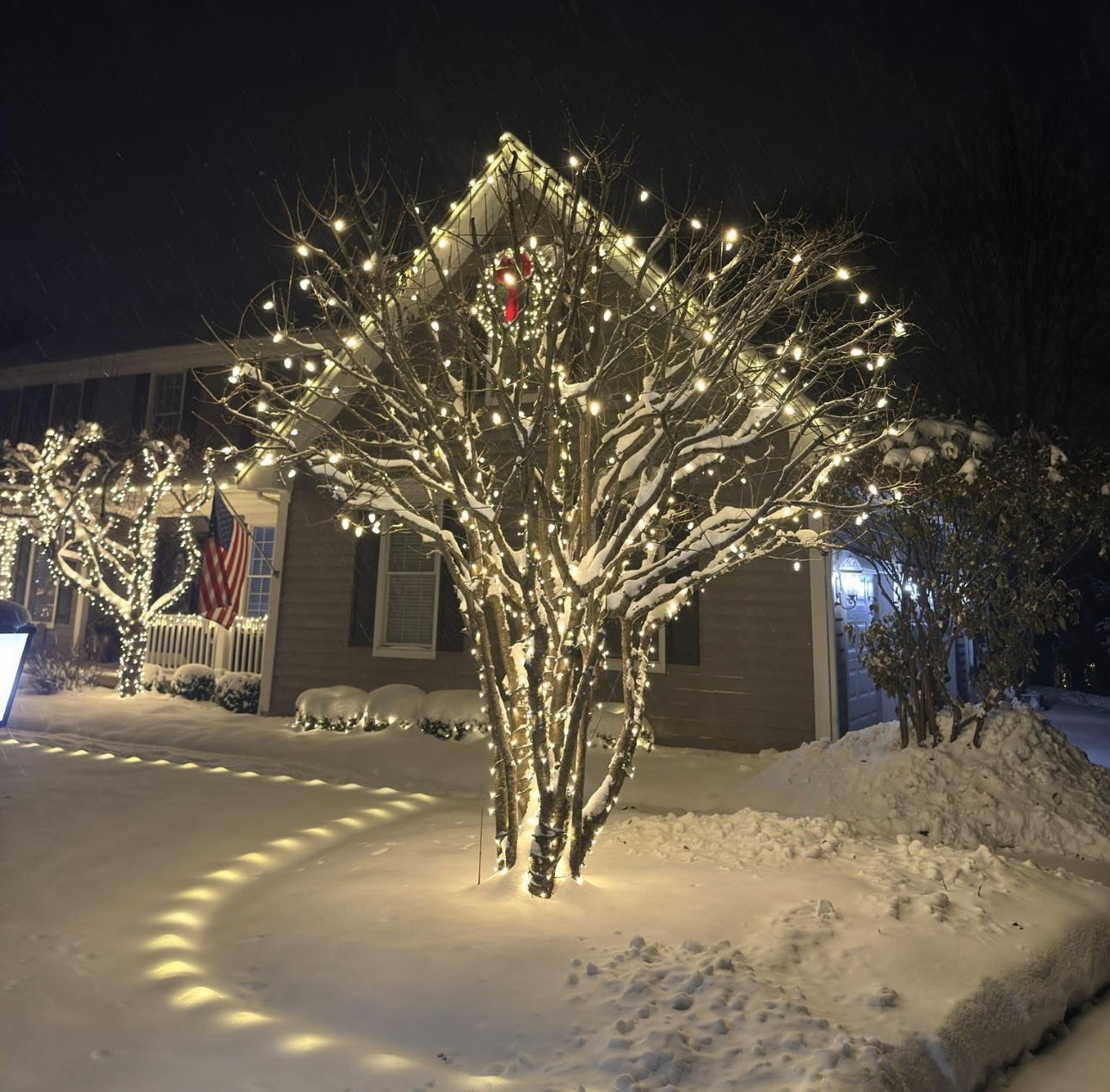 Permanent Lighting project photo